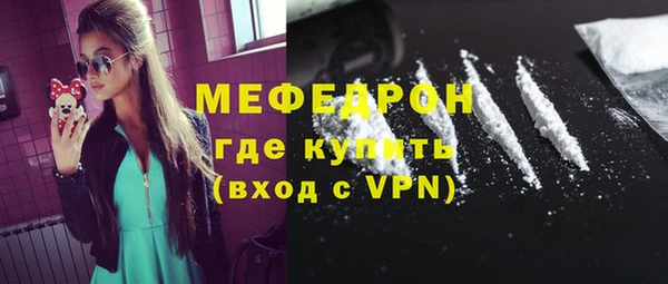 хмурый Ельня