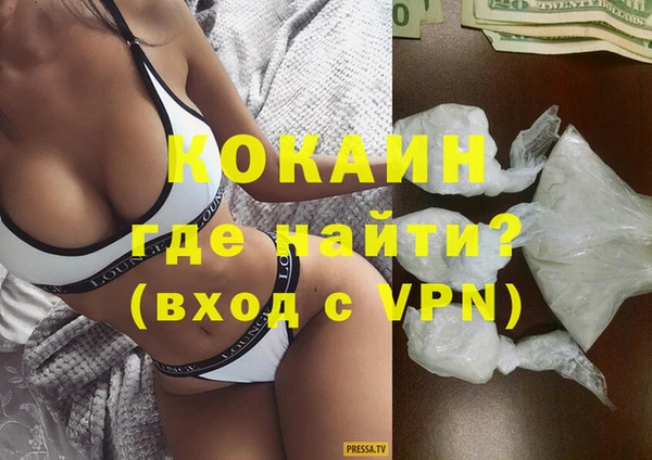 хмурый Ельня