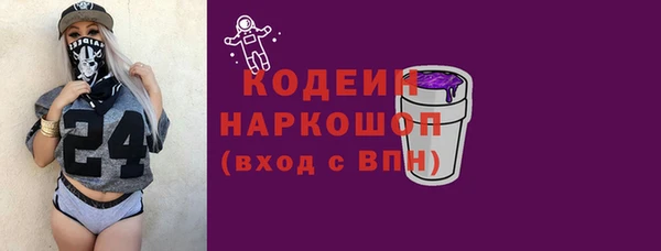 хмурый Ельня