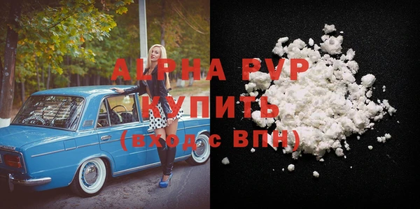 хмурый Ельня