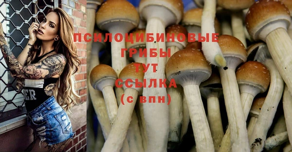 тгк Осинники