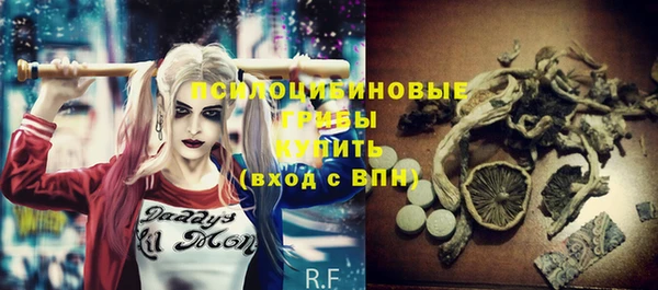 прущая мука Елабуга