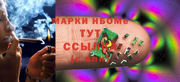 хмурый Ельня