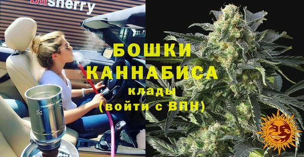 хмурый Ельня