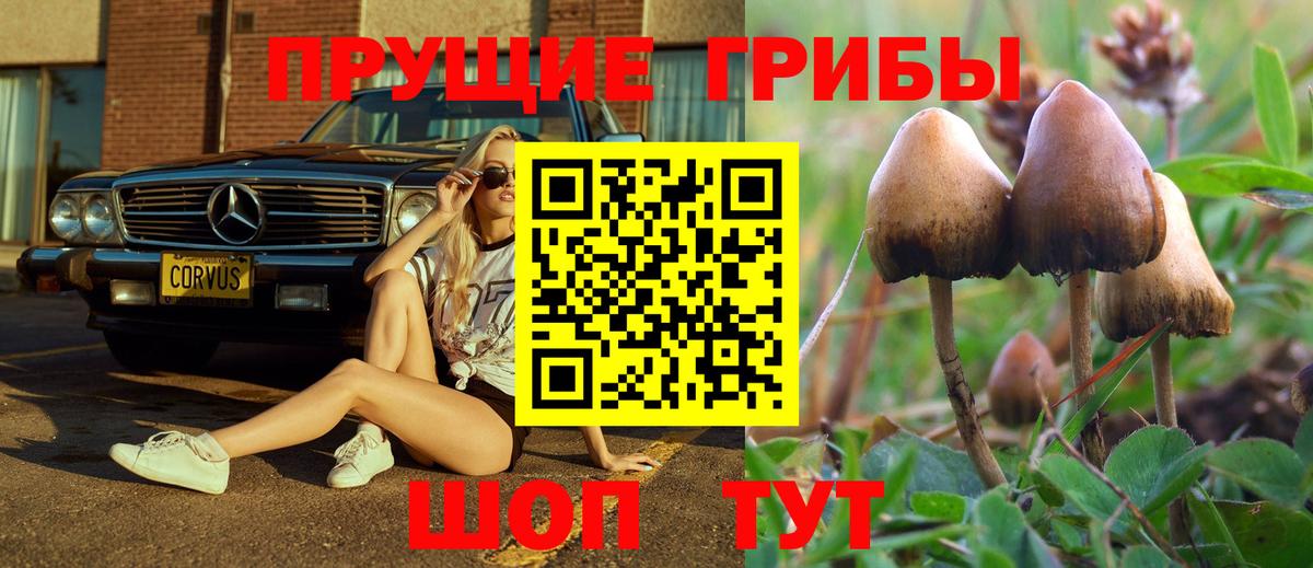 Псилоцибиновые грибы Magic Shrooms  Вход с VPN  Саянск  Галлюциногенные грибы MAGIC MUSHROOMS 